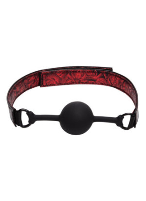 Sweet Anticipation Ball Gag